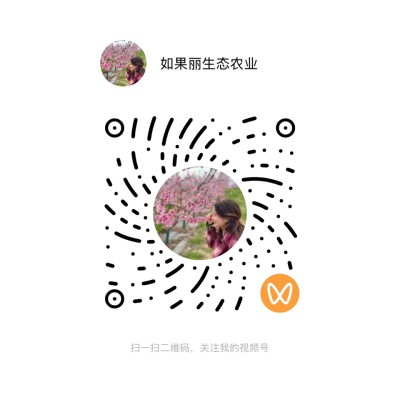 视频号主页